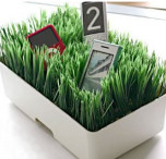 Grassy Lawn Charging Station