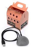 USB Pet Rock