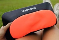 Tracebird