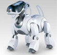 AIBO