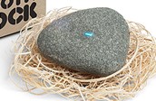 Bluetooth Pet Rock