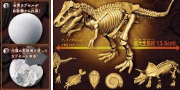 ガシャポンで発掘!!恐竜化石